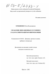 Диссертация по механике на тему «Управление вибрационным состоянием в задачах виброзащиты и виброизоляции»