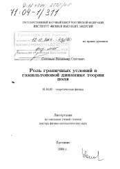 Диссертация по физике на тему «Роль граничных условий в гамильтоновой динамике теории поля»