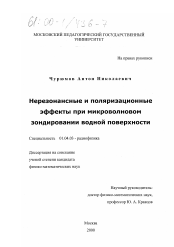 Диссертация по физике на тему «Нерезонансные и поляризационные эффекты при микроволновом зондировании водной поверхности»