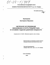 Диссертация по механике на тему «Численное исследование образования и роста пузырей пара в условиях падения давления жидкости»