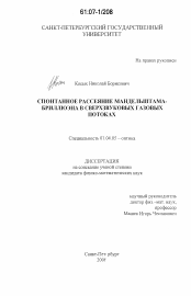 Диссертация по физике на тему «Спонтанное рассеяние Мандельштама-Бриллюэна в сверхзвуковых газовых потоках»