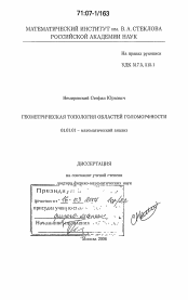 Диссертация по математике на тему «Геометрическая топология областей голоморфности»