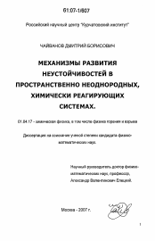 Диссертация по физике на тему «Механизмы развития неустойчивостей в пространственно неоднородных, химически реагирующих системах»