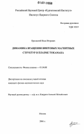 Диссертация по физике на тему «Динамика вращения винтовых магнитных структур в плазме токамака»