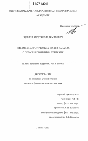 Диссертация по механике на тему «Динамика акустических волн в каналах с перфорированными стенками»