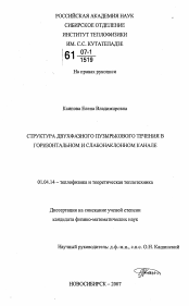 Диссертация по физике на тему «Структура двухфазного пузырькового течения в горизонтальном и слабонаклонном канале»