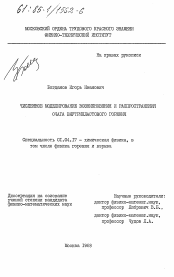 Диссертация по физике на тему «Численное моделирование возникновения и распространения очага внутрипластового горения»