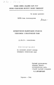 Диссертация по физике на тему «Математическое моделирование процессов теплообмена в биологической ткани»