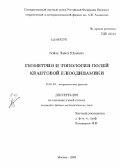 Диссертация по физике на тему «Геометрия и топология полей квантовой глюодинамики»