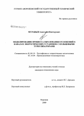 Диссертация по физике на тему «Моделирование процесса образования отложений в каналах энергетических установок с кольцевыми турбулизаторами»