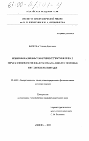 Диссертация по химии на тему «Идентификация иммуноактивных участков белка Е вируса клещевого энцефалита штамма Софьин с помощью синтетических пептидов»