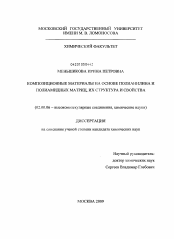 Диссертация по химии на тему «Композиционные материалы на основе полианилина и полиамидных матриц, их структура и свойства»