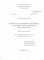 Диссертация по химии на тему «Морфология и электрохимические свойства гетерогенных слоев на поверхности металлов и сплавов»