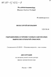 Диссертация по механике на тему «Гидродинамика и горение газовых и двухфазных выбросов в открытой атмосфере»