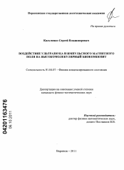 Диссертация по физике на тему «Воздействие ультразвука и импульсного магнитного поля на высокомолекулярный биокомпозит»