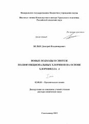 Диссертация по химии на тему «Новые подходы в синтезе полифункциональных хлоринов на основе хлорофилла а»