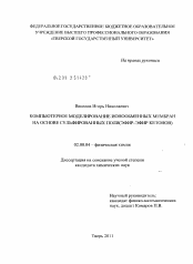 Диссертация по химии на тему «Компьютерное моделирование ионообменных мембран на основе сульфированных поли(эфир-эфир кетонов)»