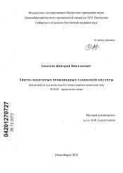 Диссертация по химии на тему «Синтез некоторых производных усниновой кислоты»