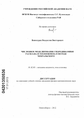 Диссертация по механике на тему «Численное моделирование гидродинамики расплава и теплообмена в методе Чохральского»