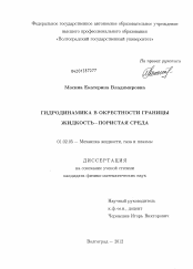 Диссертация по механике на тему «Гидродинамика в окрестности границы жидкость - пористая среда»