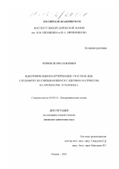 Диссертация по химии на тему «Идентификация и картирование участков ДНК, специфически связывающихся с ядерным матриксом, на хромосоме 19 человека»
