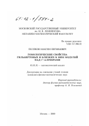 Диссертация по математике на тему «Гомологические свойства гильбертовых и близких к ним модулей над С *-алгебрами»