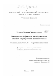 Диссертация по физике на тему «Вакуумные эффекты в калибровочных теориях в присутствии внешнего поля»