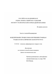 Диссертация по механике на тему «Моделирование процессов на внутренних границах раздела в металлических наноструктурах»