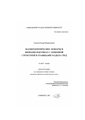 Диссертация по физике на тему «Магнитооптические эффекты в ферродиэлектриках с доменной структурой и границами раздела сред»