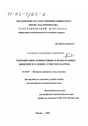 Диссертация по механике на тему «Гидродинамика конвективных и вращательных движений в условиях лучистого нагрева»