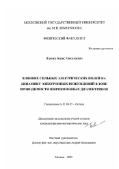 Диссертация по физике на тему «Влияние сильных электрических полей на динамику электронных возбуждений в зоне проводимости широкозонных диэлектриков»