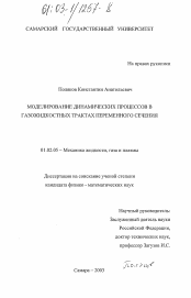 Диссертация по механике на тему «Моделирование динамических процессов в газожидкостных трактах переменного сечения»