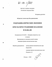 Диссертация по механике на тему «Гидродинамические явления при распространении пламени в канале»