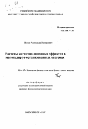 Автореферат по физике на тему «Расчеты магнитно-спиновых эффектов в молекулярно-организованных системах»