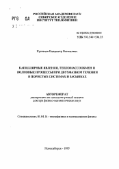 Автореферат по физике на тему «Капиллярные явления, тепломассообмен и волновые процессы при двухфазном течении в пористых системах и засыпках»