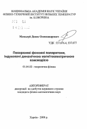 Автореферат по физике на тему «Поверхностные фононные поляритоны, индуцированные динамическим магнитоэлектрическим взаимодействием»