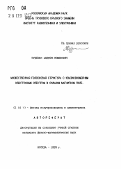 Автореферат по физике на тему «Множественная полосковая структура с квазиодномерным электронным спектром в сильном магнитном поле»