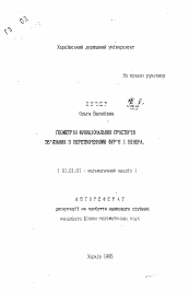 Автореферат по математике на тему «Геометрия функциональных пространств, связанных с преобразованиями Фурье и Винера»