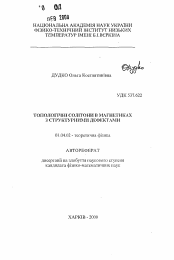 Автореферат по физике на тему «Топологические солитоны в магнетиках со структурными дефектами»