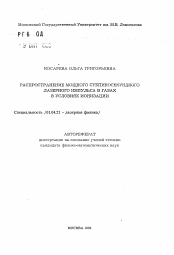 Автореферат по физике на тему «Распространение мощного субпикосекундного лазерного импульса в газах в условиях ионизации»