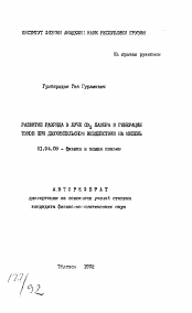 Автореферат по физике на тему «Развитие разряда в луче СО2 лазера и генерация токов при двухимпульсном воздействии на мишень»
