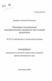 Автореферат по физике на тему «Численное исследование теплофизических процессов при газовой кумуляции»