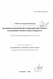 Автореферат по механике на тему «Численное моделирование взаимодействия пузыря с различными типами границ в жидкости»