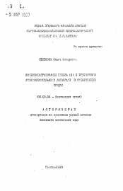 Автореферат по химии на тему «Комплексообразование железа (III) с трехмерными аминокарбоксильными лигандами в сильнокислых средах»