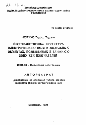 Автореферат по физике на тему «Пространственная структура электрического поля в модельных объектах, помещенных в ближнюю зону КВЧ излучателей»