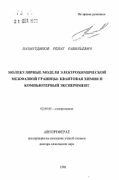 Автореферат по химии на тему «Молекулярные модели электрохимической межфазной границы: квантовая химия и компьютерный эксперимент»