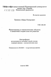 Автореферат по физике на тему «Фрактальные и топологические объекты в квантовой теории поля на решетке»