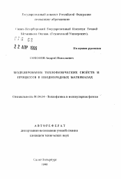 Автореферат по физике на тему «Моделирование теплофизических свойств и процессов в неоднородных материалах»