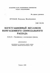 Автореферат по физике на тему «Флуктуационный механизм вынужденного спинодального распада»