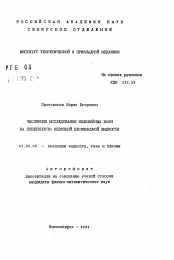 Автореферат по механике на тему «Численное исследование нелинейных волн на поверхности невязкой несжимаемой жидкости»